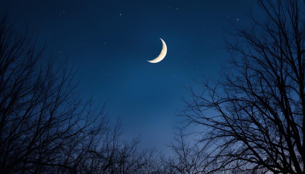 Waning Crescent Moon