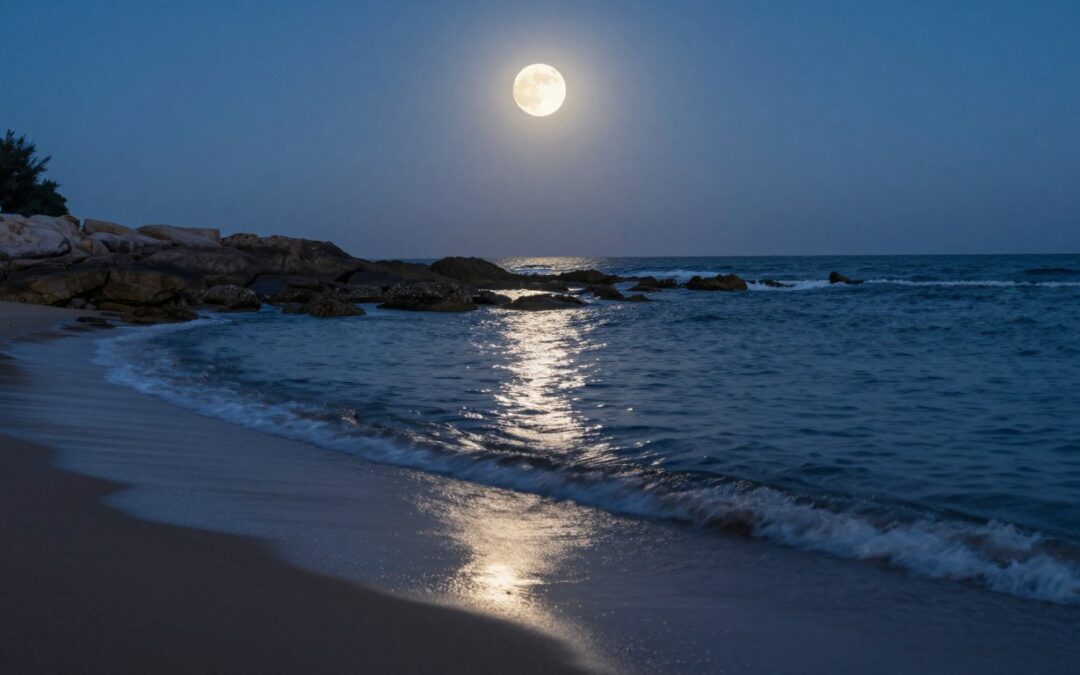 How Does the Moon Affect Oceans?