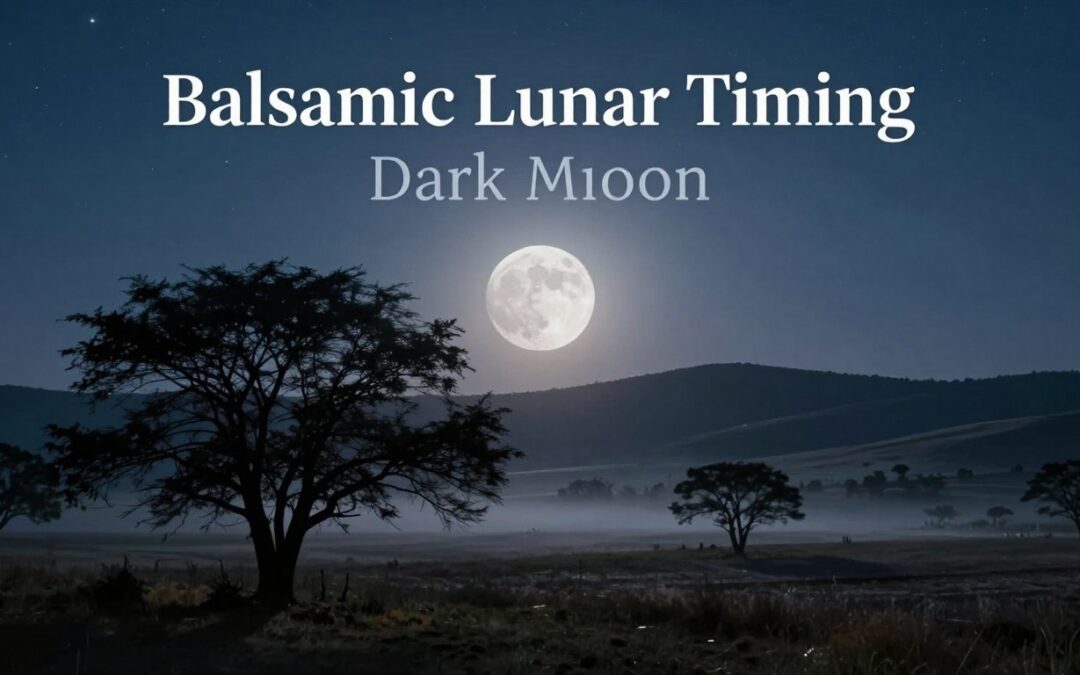 What is the Dark Moon Phase?
